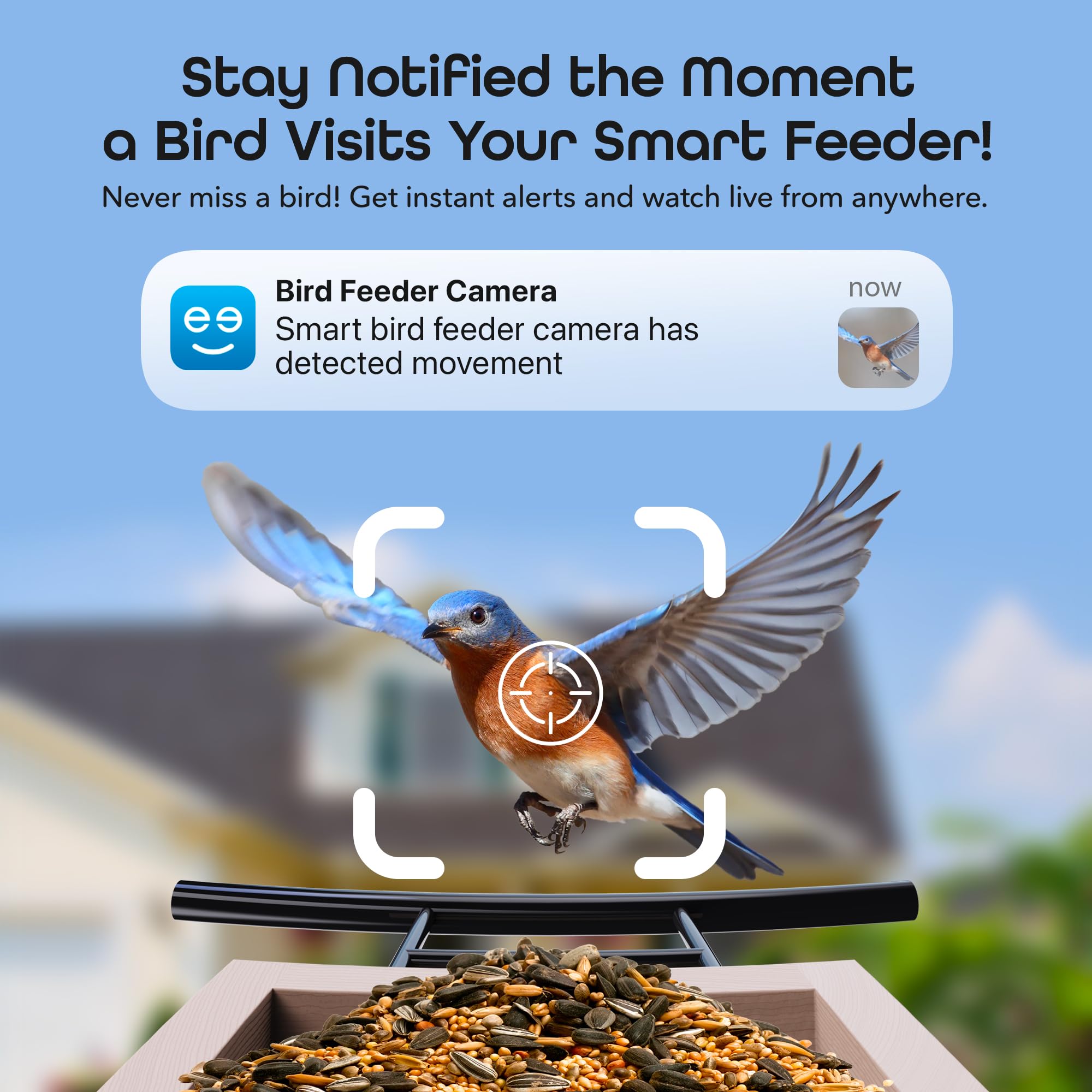 Geeni BirdConnect FeatherCam – Smart Bird Feeder with Camera, AI Bird Identification, Auto Capture, Motion Detection, 1080p HD, Night Vision, Wireless & Solar-Powered - Image 3