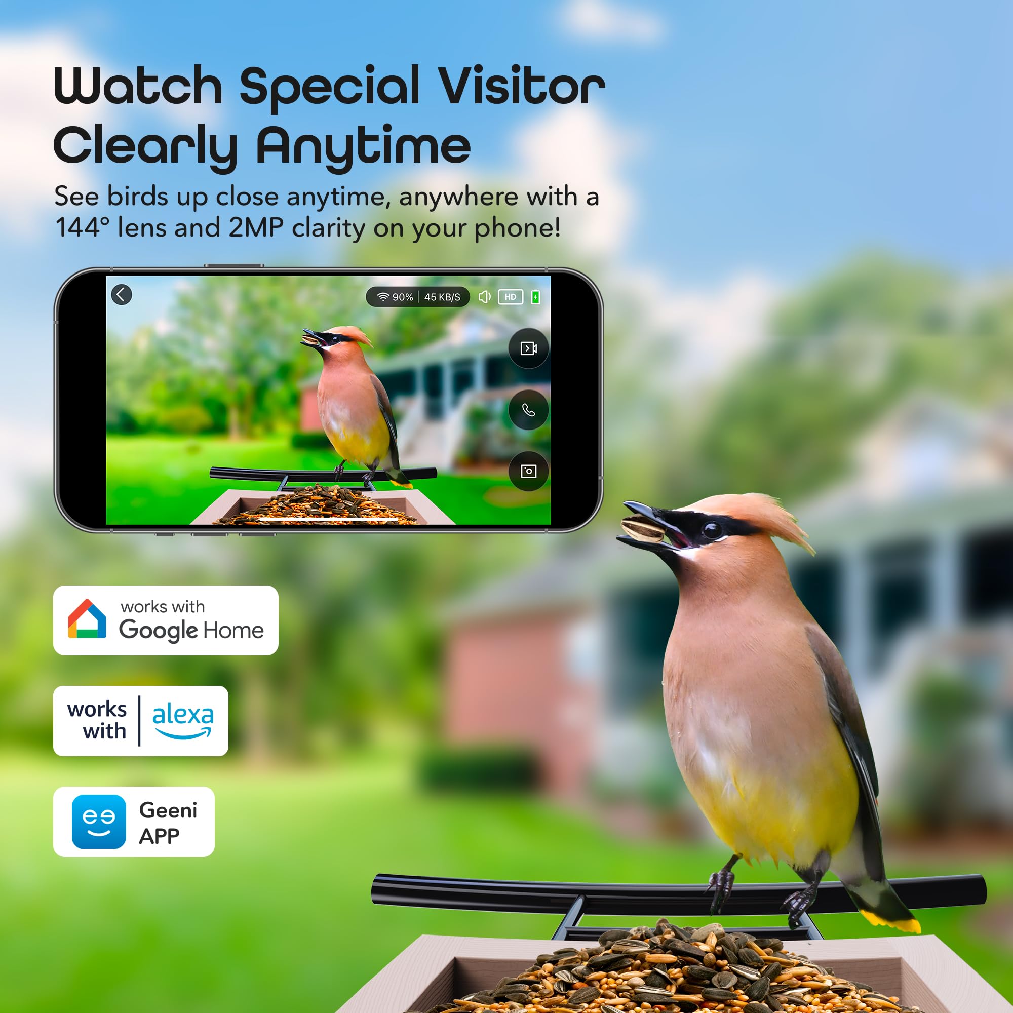 Geeni BirdConnect FeatherCam – Smart Bird Feeder with Camera, AI Bird Identification, Auto Capture, Motion Detection, 1080p HD, Night Vision, Wireless & Solar-Powered - Image 4