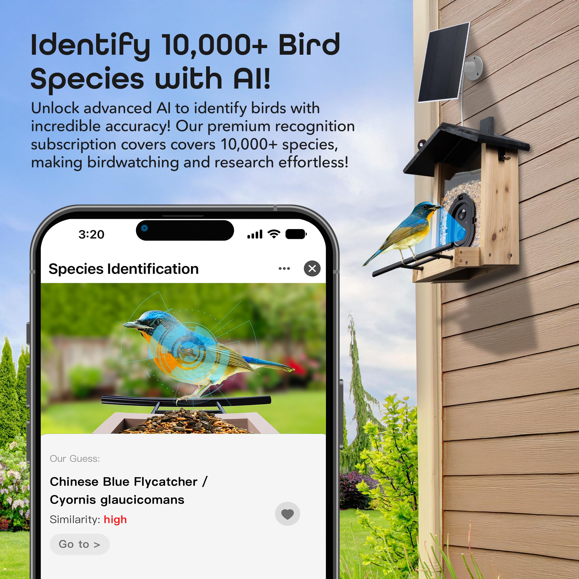 Geeni BirdConnect FeatherCam – Smart Bird Feeder with Camera, AI Bird Identification, Auto Capture, Motion Detection, 1080p HD, Night Vision, Wireless & Solar-Powered - Image 5