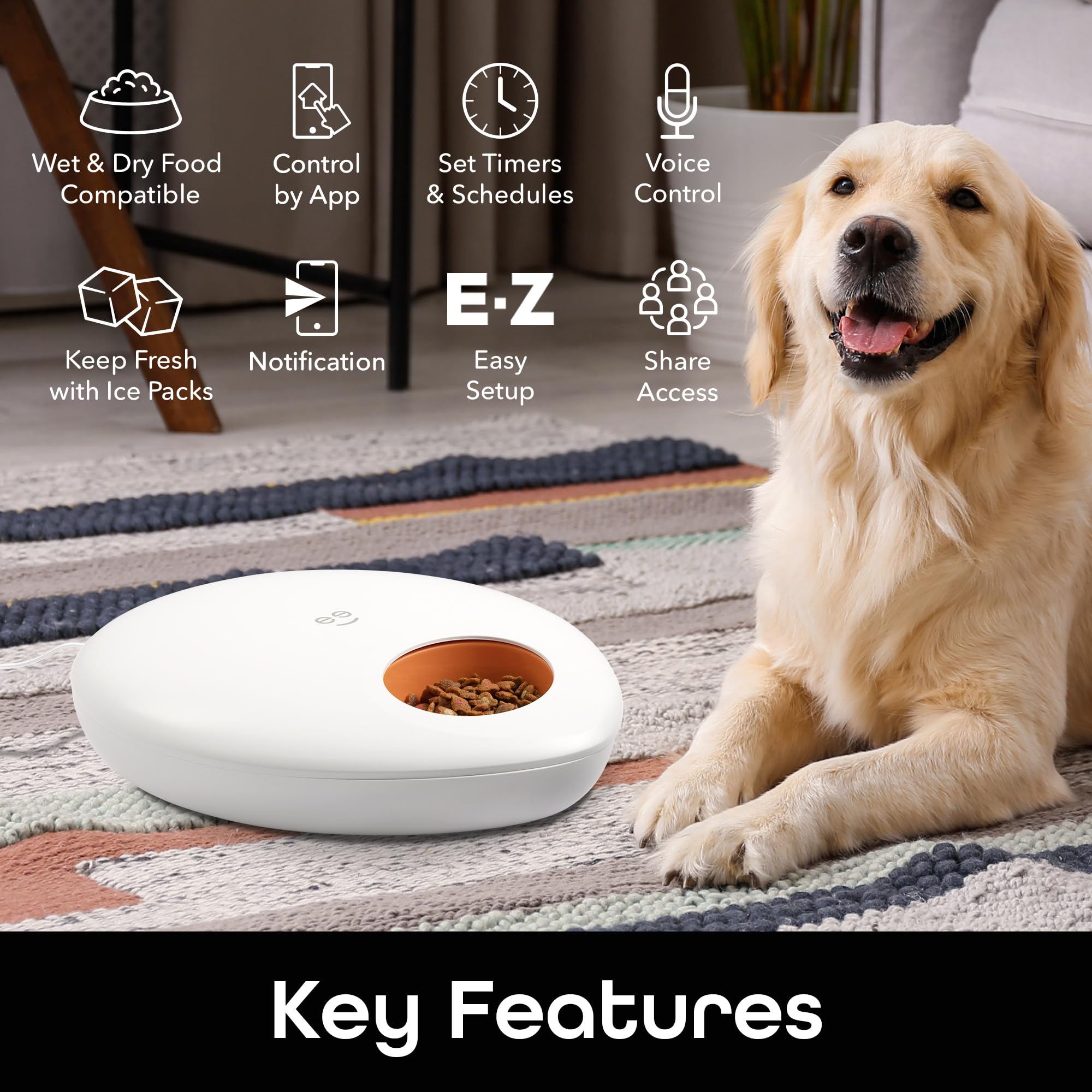Geeni Smart Pet Feeder for Wet or Dry Food, 5-Meal Automatic Dog and Cat Feeder with Ice Packs, Programmable Timer, Battery Backup, Alexa and Google Home Compatible, White - Image 3